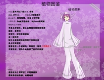 衣果