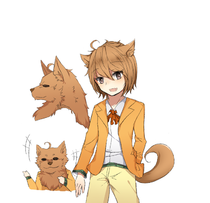 安尔利兹