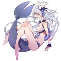 0204伊尔文