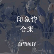 印象诗合集