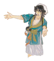 窦狸