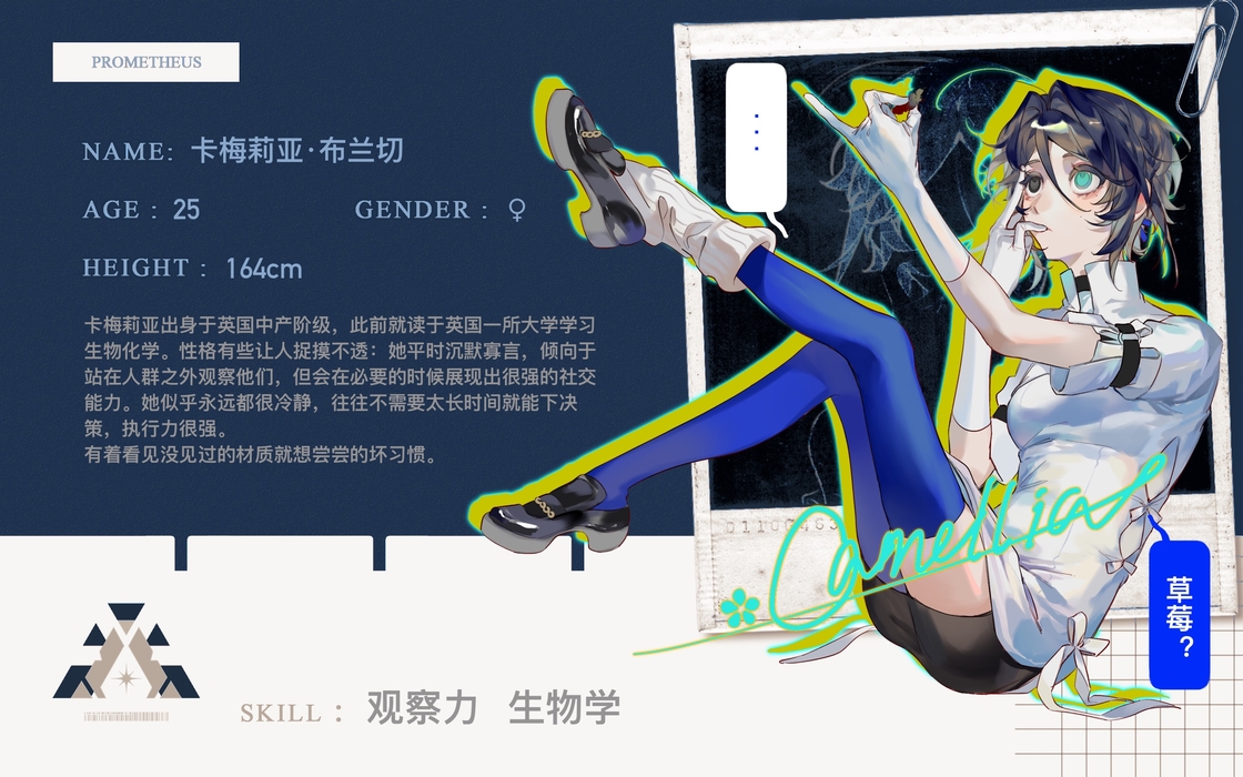 卡梅莉亚·布兰切