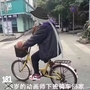 雷克