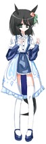 菊之海