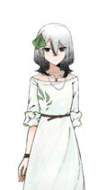 海蒂·诺特