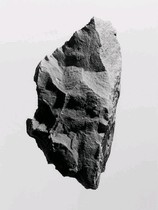 灰岩（grey rock）