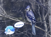 charac.charac.chara_name