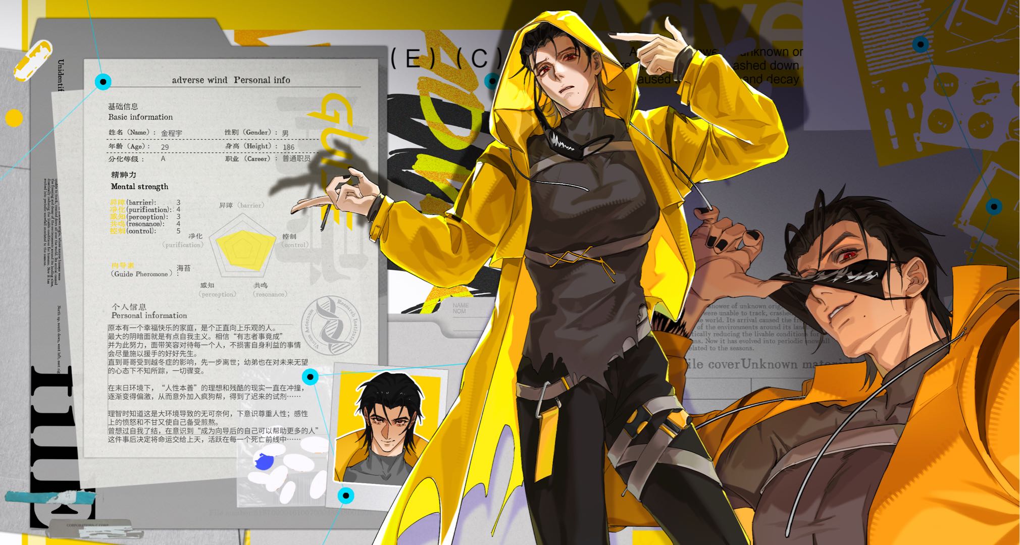 金程宇