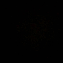 噩