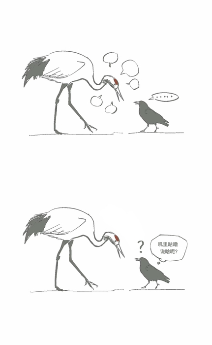 沈乌遥