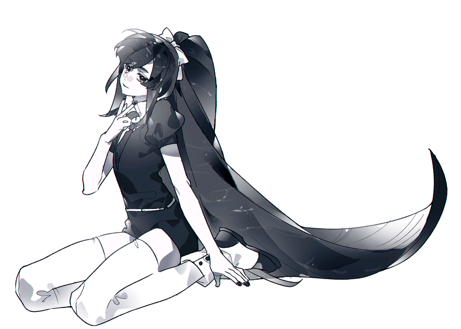 Biotite/黑云母