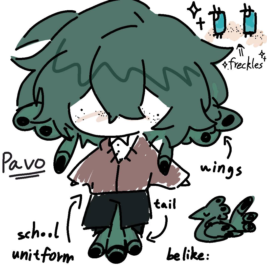 pavo