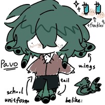 pavo