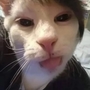 王海