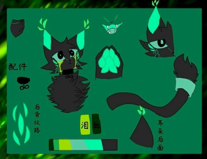 豹姬(010号)